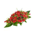 Red Double Ended Spray