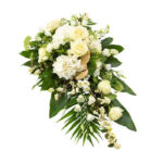 White and Green Spray